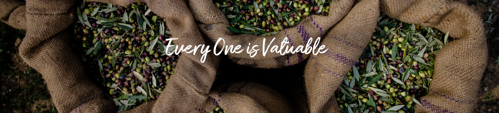 NIFELYA OLIVE OILS