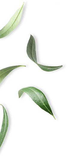 NIFELYA OLIVE OILS