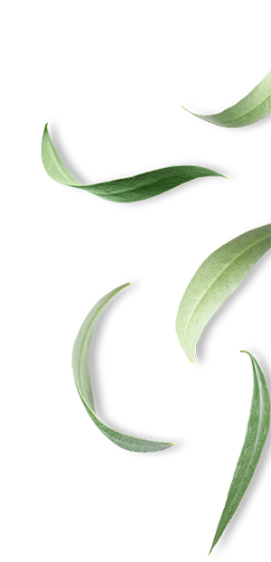 NIFELYA OLIVE OILS