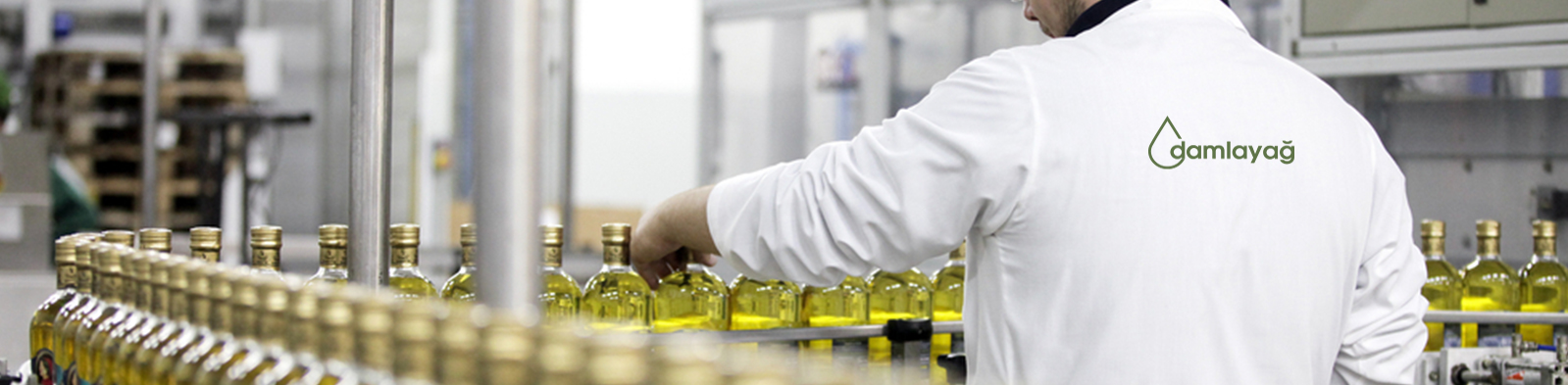 NIFELYA OLIVE OILS