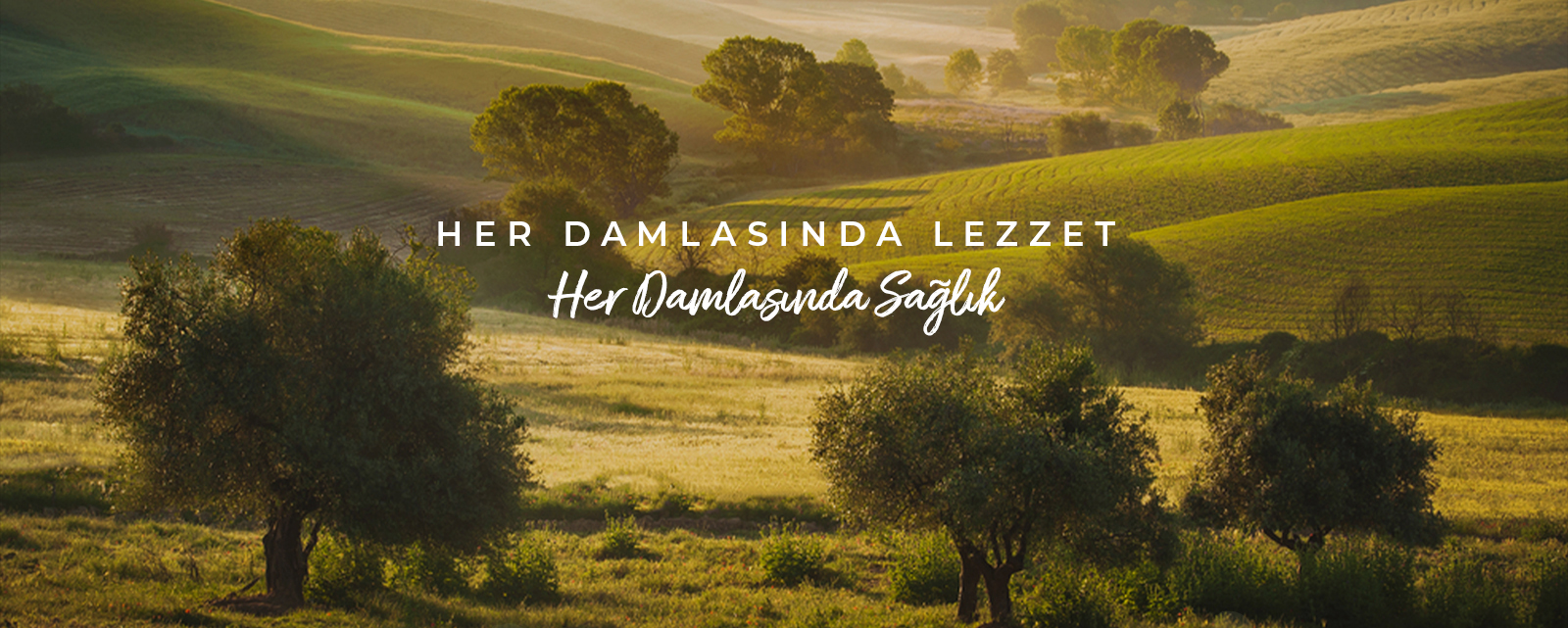 NIFELYA OLIVE OILS.