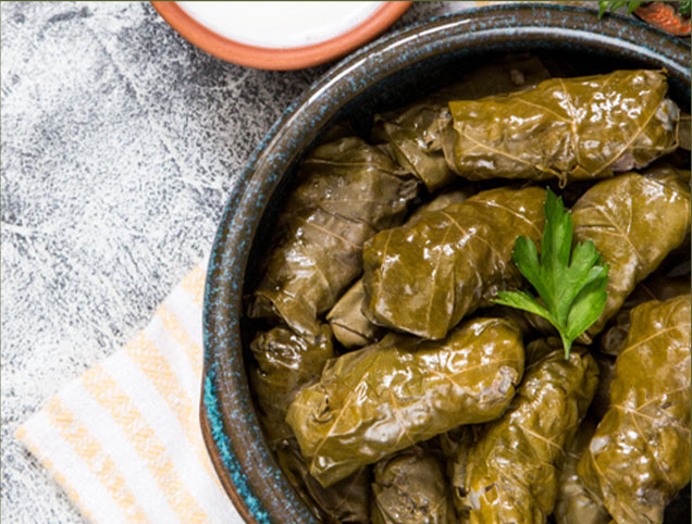 NIFELYA OLIVE OILS