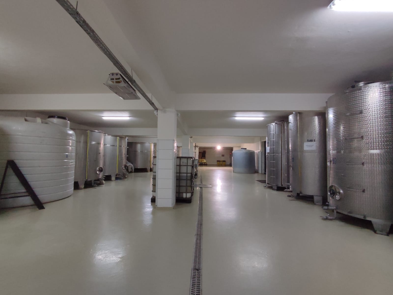 NIFELYA OLIVE OILS