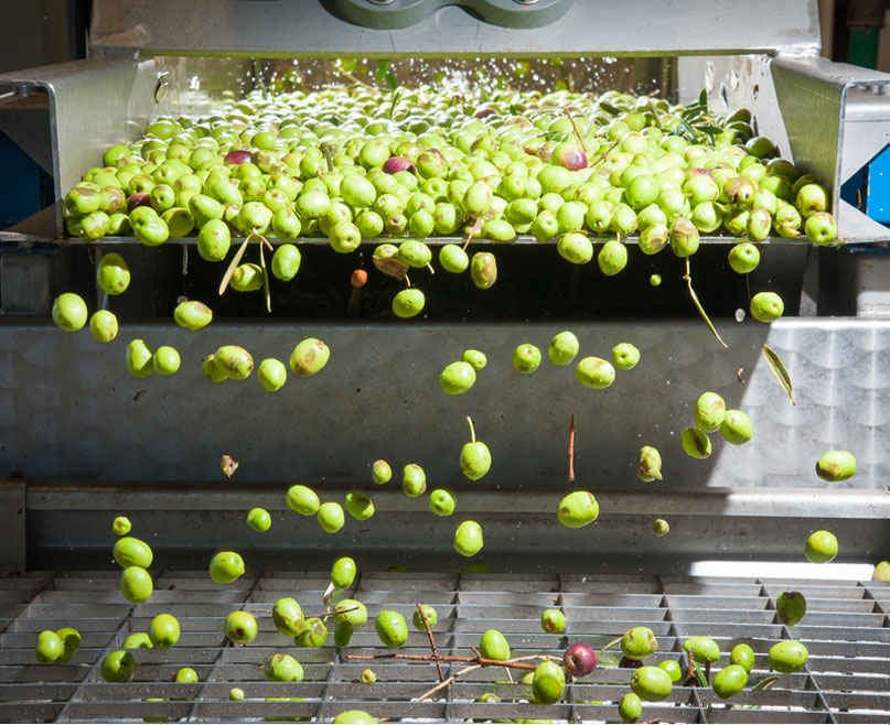 NIFELYA OLIVE OILS
